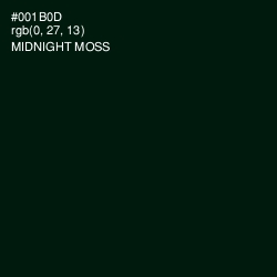 #001B0D - Midnight Moss Color Image